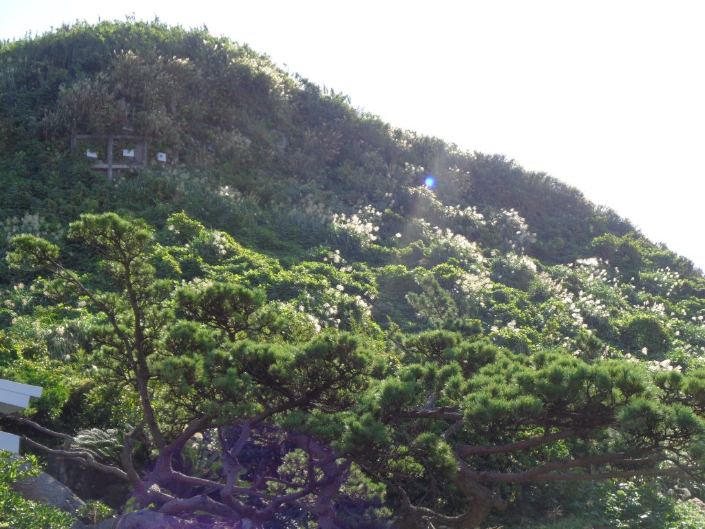 3月8日の礼拝案内